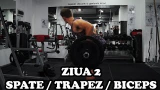 Spate  Trapez  Biceps  Ziua 2  Program incepatori [upl. by Apul]