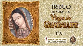 ⚜️🔴Triduo a Nuestra Señora de Guadalupe Día 1 Heraldos del Evangelio [upl. by Anitsej178]