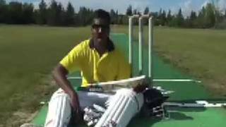 The CRICKET song by Wilbur Sargunaraj [upl. by Clayson]