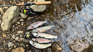 First Trout of the 2024 Camping Season at Douthat State Park shorts [upl. by Akemrej]