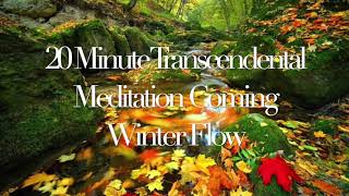 Transcendental Meditation Music 20 Minutes [upl. by Marl]