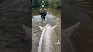 Somerford park farm ride [upl. by Nosned]