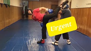 Black belt sparring amp Training [upl. by Tneicniv585]