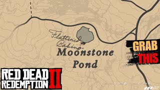 You Visited This Place at least Once But Forgot to Grab This  Red Dead Redemption 2 [upl. by Louls343]