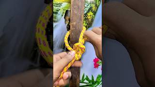 Wow Useful Bowline Knot shortsfeed [upl. by Yrffoeg]