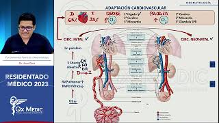 Adaptación cardíaca en neonatos [upl. by Amaty]