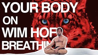 Control your Breath Control your Body Wim Hof Explained [upl. by Luamaj612]