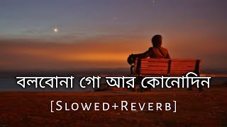 Bolbo Na Go Ar Kono Din  Slowed And Reverb  Baul Sukumar  Bengali Lofi Song  10 PM BENGALI LOFI [upl. by Anitsua]