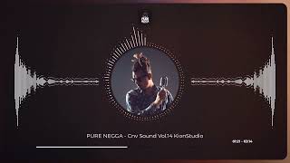 Pure Negga  Cnv Sound Vol14 KionStudio [upl. by Leahcim]