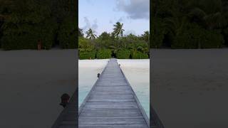 Maldives Constance Moofushi Experience in 1 minute [upl. by Melamed688]