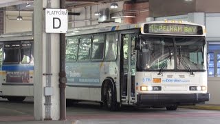 BeeLine Bus On Board Neoplan AN460 539 Route 45 Bus from New Rochelle to Pelham Bay [upl. by Macur]