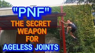 PNF Stretching The Best Kept Secret for Joint and Cartilage Health [upl. by Llerrehc964]