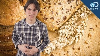 Is Gluten Sensitivity Actually Real [upl. by Giorgio]