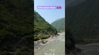 UttarakhandDehraduntrending shortvideo travel nature uttarakhand 🌲🌺 [upl. by Ynafetse]