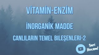 VitaminEnzimİnorganik Bileşikler Canlıların Temel Bileşenleri 2  TYT Biyoloji [upl. by Anilef334]