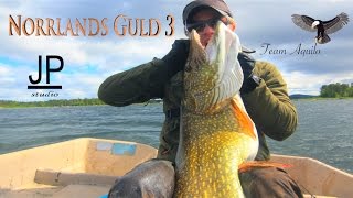 quotNorrlands Guld 3quot Jurassic Pike Full HD optional subtitles [upl. by Ybroc273]