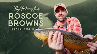 Fly Fishing For Roscoe Browns In The Beaverkill River  Higher Elevations Adventures [upl. by Monagan]