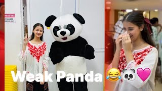 Panda shrmaa gya 🐼  Masti 🤩  Vlog 🩷 [upl. by Mcgruter]