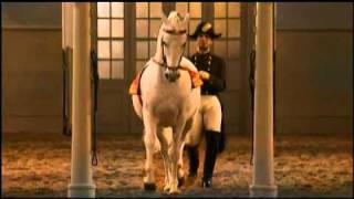 The Spanish Riding School of Vienna Part 22 [upl. by Hepza]