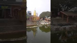 Sri soron jee dham maagang shivsambhu song hindisong 🙏 [upl. by Eilram622]