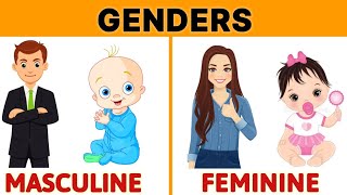 Genders  Masculine gender and Feminine Gender  learn about gender  Gender for class 1  gender [upl. by Naujej]