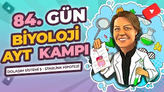 AYT KAMPI  11 SINIF  84 GÜN  DOLAŞIM SİSTEMİ  5 STARLİNG HİPOTEZİ [upl. by Garnes375]