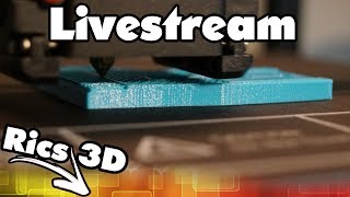 Rics3D  Zwei Baustellen  Livestream [upl. by Aicilaf]