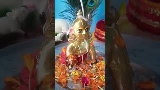 Laddu Gopal snan [upl. by Idhem]