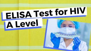 ELISA Test for HIV  A Level Biology [upl. by Aicile]