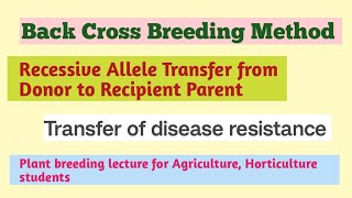 back Cross Breeding method for recessive gene transfer in hindi [upl. by Neelrihs]