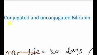 Hemolysis conjugated and unconjugated Bilirubin formation in Hindi  DrPurvesh Koladiya [upl. by Anairad]