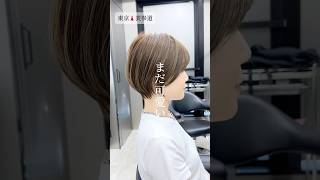 美容師美容室ショートボブボブショートショートカットショートヘアー多毛多毛ショート癖毛癖毛ショート表参道美容室表参道美容師 [upl. by Ellenig]