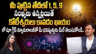 Lo Shu Grid Numerology Detail Explain In Telugu  Analysis of Lo Shu Grid [upl. by Nalani241]