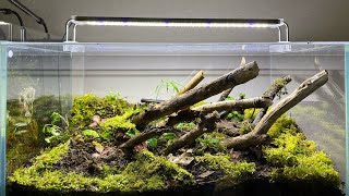 HOW TO MAKE TERRARIUM FOR GIANT AFRICAN MILLIPEDE’S 2 [upl. by Eivets330]