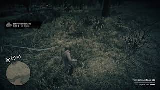 Endgame Spoilers Red Dead Redemption 2  Ferdelance Snake location [upl. by Montano632]