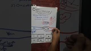 Capillary net filtration  Hydrostatic pressure and oncotic pressure  شرح مادة الفيسيولوجي بالعربي [upl. by Wenoa780]