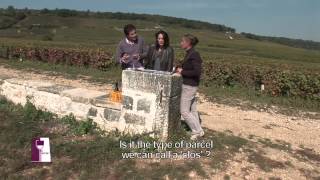 Understanding Vosne Romanée with Anne Gros [upl. by Asle]