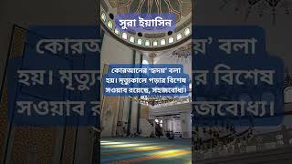 সুরা ইয়াসিন surayasin সুরাইয়াসিনইসলামিকভিডিওকুরআনতেলাওয়াত [upl. by Caron983]