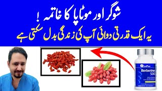 Berberine Benefits In Urdu Hindi  Berberine Kya Hota Hai  Dr Irfan Azeem [upl. by Fleisher]