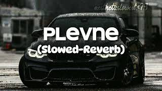 Plevne slowedreverb Music MP3 Turkish Songaestheticslowed79 [upl. by Suoiluj118]