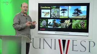 Morfologia Vegetal  Aula 19  Ciclo de vida de plantas vasculares [upl. by Keslie]