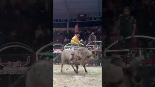 lo mejor del jaripeo montadetoros jaripeo [upl. by Blumenthal]