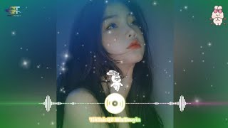 雪儿  你是我唯一的執著 DJ抖音版 2024 You Are My Only Obsession Remix TikTok  Hot Tiktok Douyin [upl. by Eiznil]