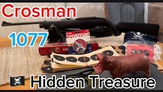 Crosman 1077 Reapeter Co2 Air Rifle Absolutely Plinking Gold [upl. by Reyam]