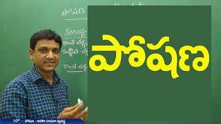 Nutrition  పోషణ  Life processes Class 10 Biology  Telugu medium [upl. by Lerraj]