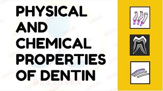 Dentin  Chemical Composition of Dentin  Physical Properties of Dentin [upl. by Namsu]