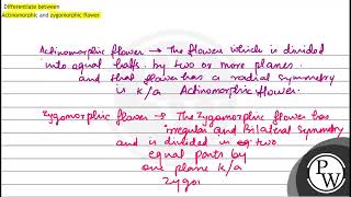 Differentiate between Actinomorphic and zygomorphic flower [upl. by Gare197]