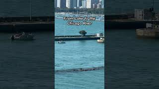 Chicago River Reversed Flow Gate Lock open Boats from the lake entering the river [upl. by Ivie]