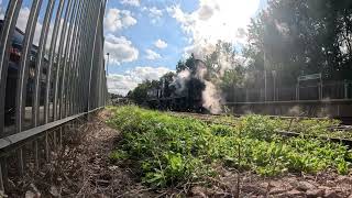 SVR No 828 maneuvers at Eridge Station 5 October 2024 [upl. by Nemra760]