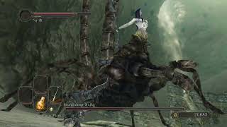 Dark Souls 2 Scorpioness Najka WIN [upl. by Ajay121]